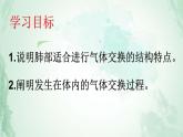 4.3.2发生在肺内的气体交换课件2021- 2022学年人教版生物七年级下册