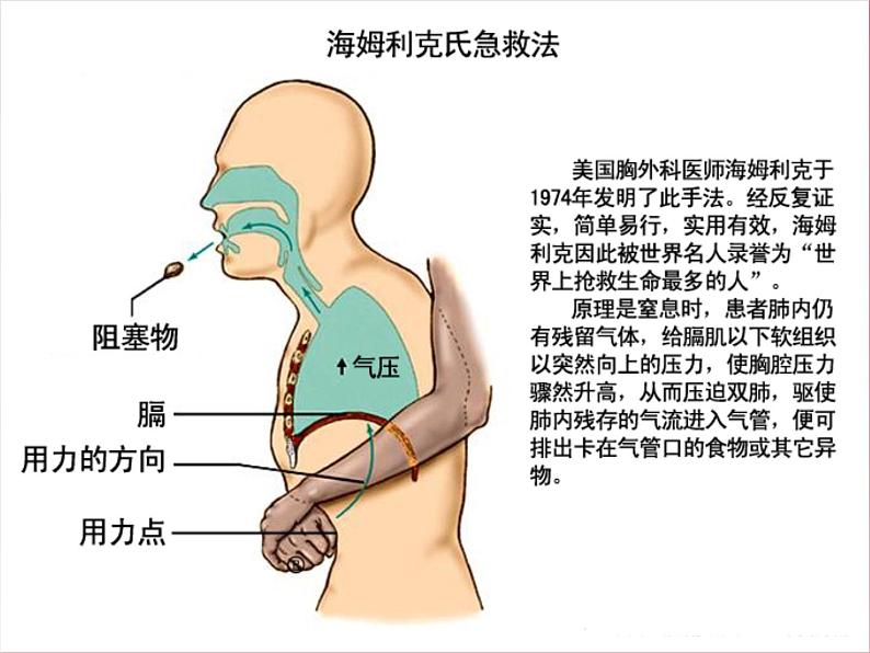 4.3.1呼吸道对空气的处理课件2021- -2022学年人教版生物七年级下册第7页