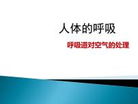 初中生物人教版 (新课标)七年级下册第一节 呼吸道对空气的处理图文ppt课件