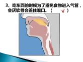 4.3.1呼吸道对空气的处理课件2021-2022学年 人教版生物七年级下册