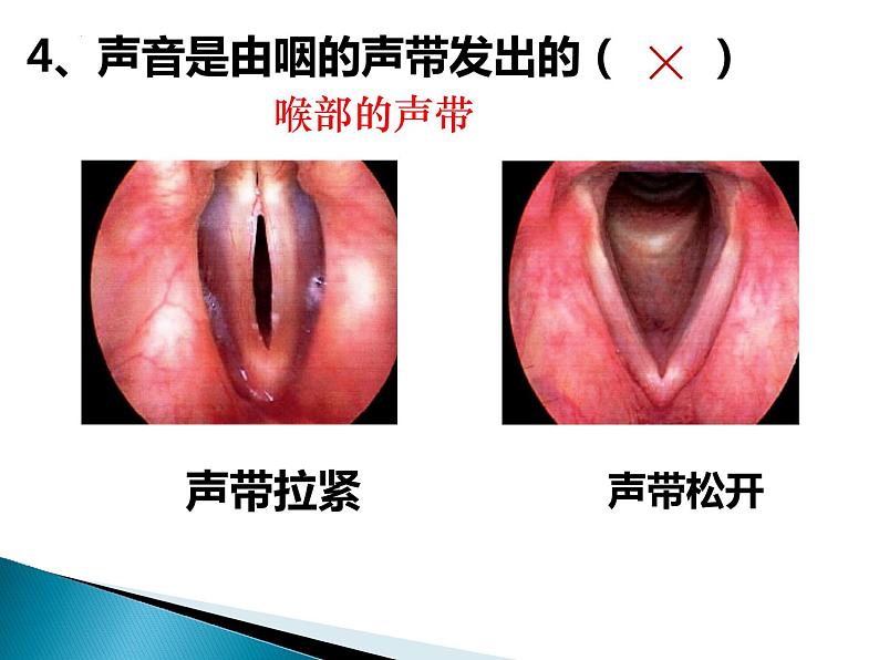 4.3.1呼吸道对空气的处理课件2021-2022学年 人教版生物七年级下册第7页