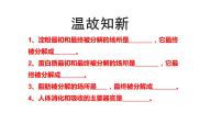 2021学年第一节 呼吸道对空气的处理集体备课课件ppt