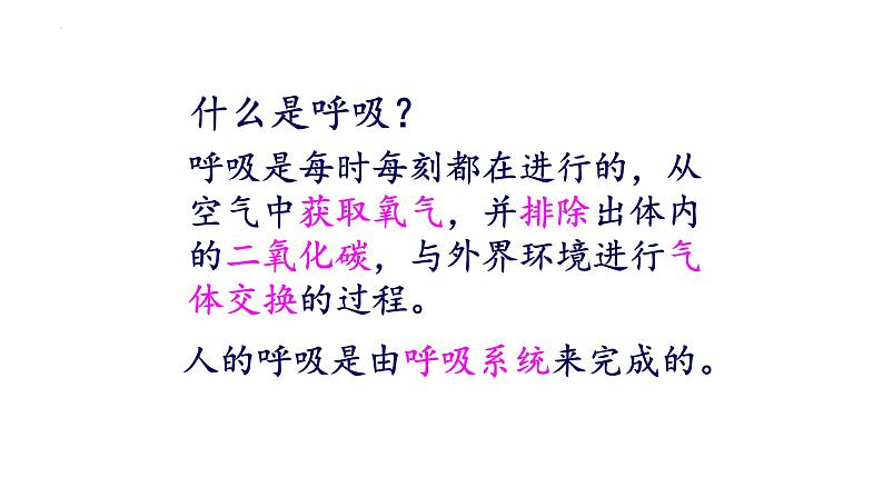 4.3.1呼吸道对空气的处理课件2021 --2022学年人教版生物七年级下册第5页