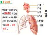 4.3.2发生在肺内的气体交换课件2021--2022学年人教版生物七年级下册