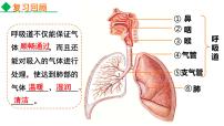 人教版 (新课标)七年级下册第二节 发生在肺内的气体交换课文ppt课件