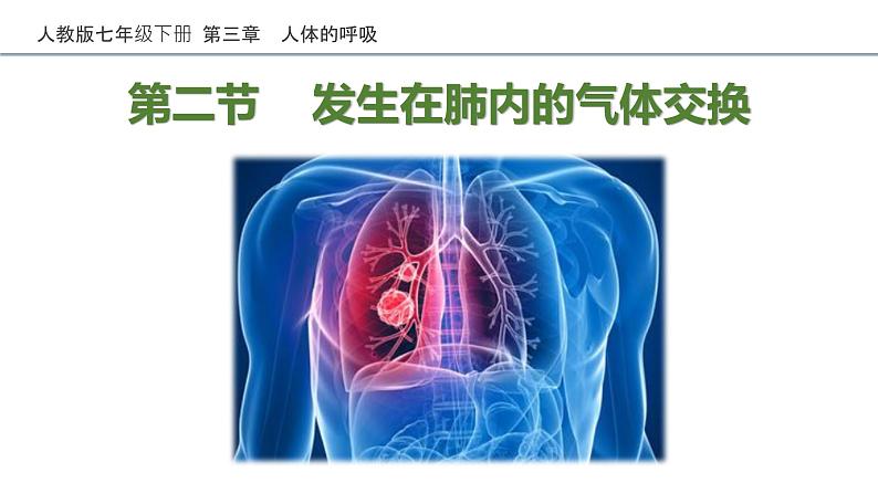 4.3.2发生在肺内的气体交换课件2021--2022学年人教版生物七年级下册03