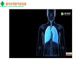 4.3.2发生在肺内的气体交换课件2021--2022学年人教版生物七年级下册