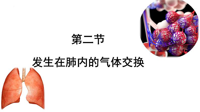 4.3.2发生在肺内的气体交换课件 2021-2022学年人教版七年级生物下册第3页