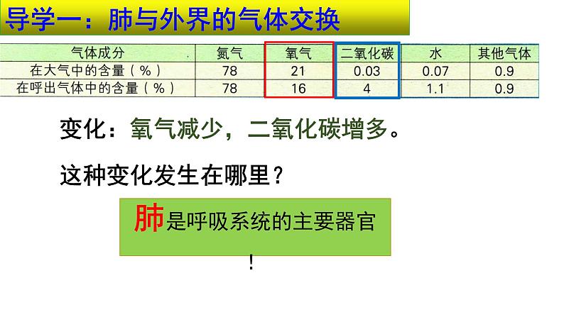 4.3.2发生在肺内的气体交换课件 2021-2022学年人教版七年级生物下册第5页