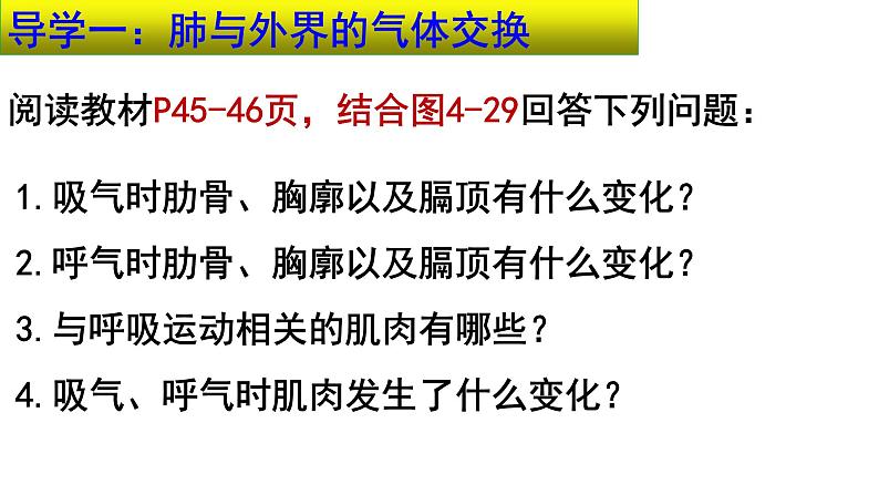 4.3.2发生在肺内的气体交换课件 2021-2022学年人教版七年级生物下册第8页