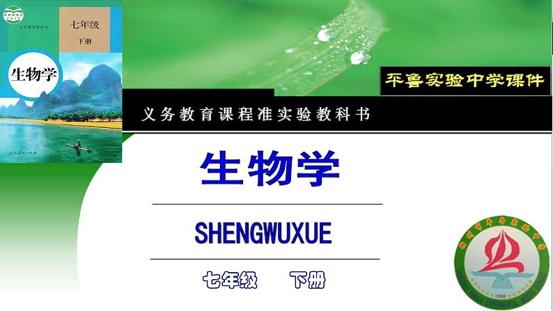 4.3.1呼吸道对空气的处理课件2021--2022学年 人教版生物七年级下册01