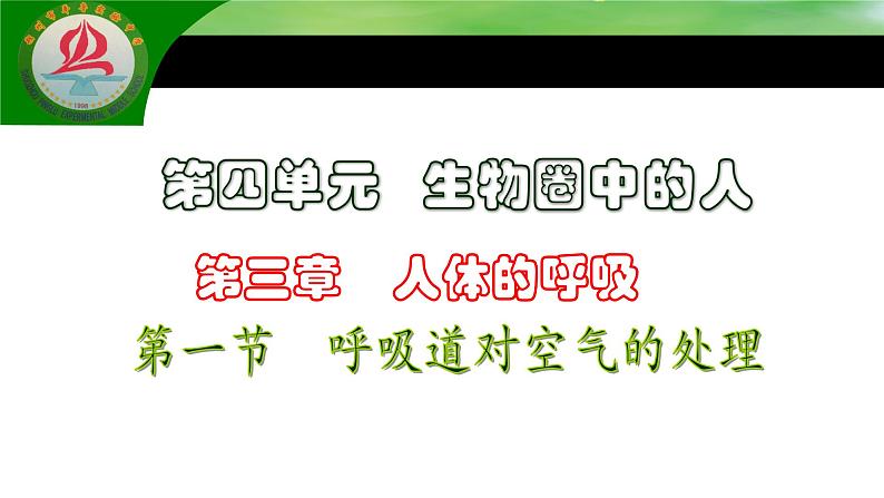 4.3.1呼吸道对空气的处理课件2021--2022学年 人教版生物七年级下册03