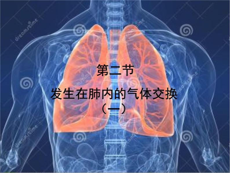 4.3.2发生在肺内的气体交换课件（第一课时）2021--2022学年人教版生物七年级下册第2页