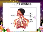 4.3.1呼吸道对空气的处理课件2021-2022学年人教版生物七年级下册