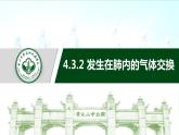 4.3.2发生在肺内的气体交换课件2021--2022学年人教版初中生物七年级下册