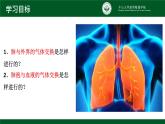 4.3.2发生在肺内的气体交换课件2021--2022学年人教版初中生物七年级下册
