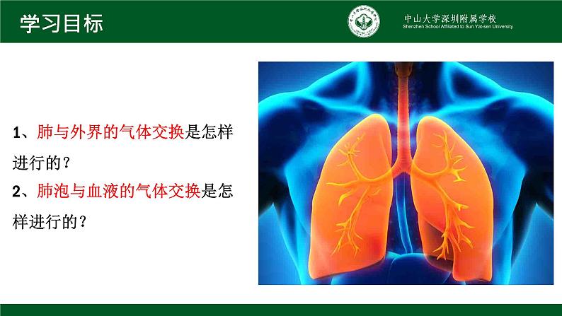 4.3.2发生在肺内的气体交换课件2021--2022学年人教版初中生物七年级下册02