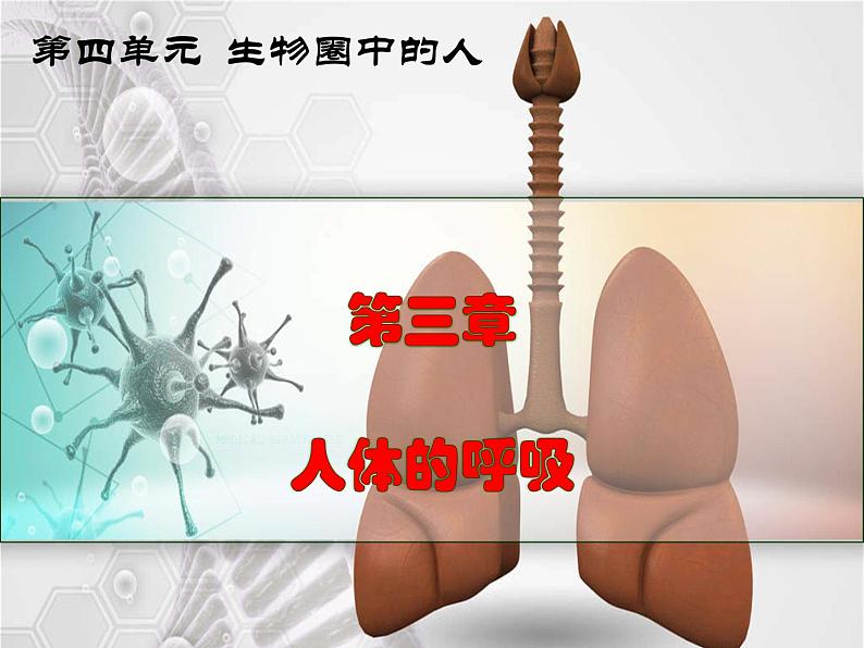 4.3.2发生在肺内的气体交换课件2021-2022学年人教版七年级生物下册第1页