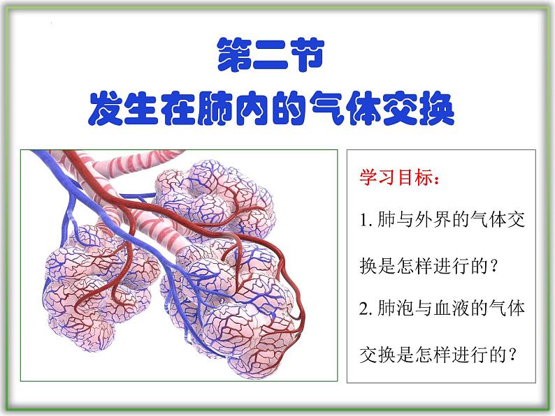 4.3.2发生在肺内的气体交换课件2021-2022学年人教版七年级生物下册第3页