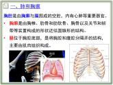 4.3.2发生在肺内的气体交换课件2021-2022学年人教版七年级生物下册