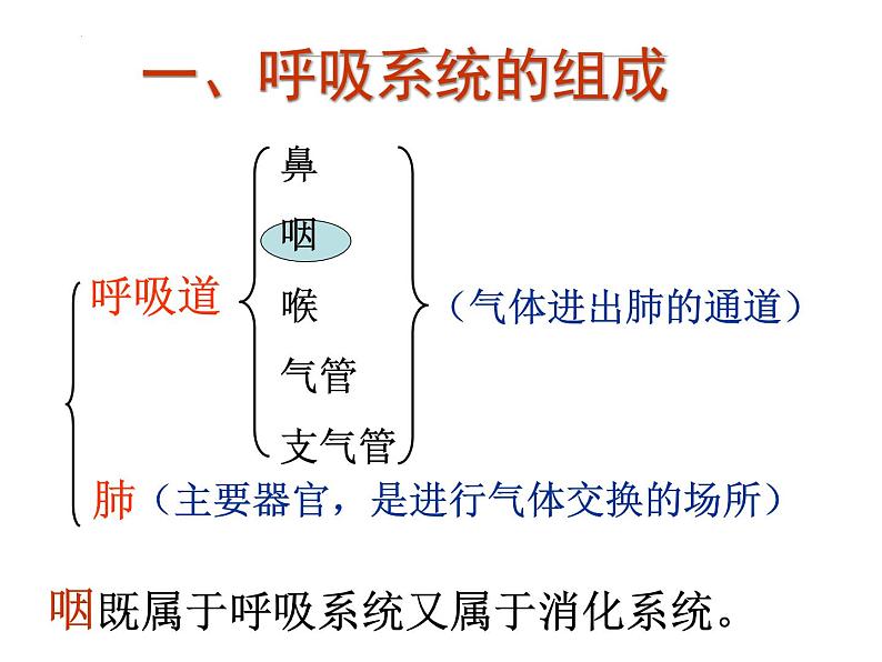 4.3.1呼吸道对空气的处理课件2021--2022学年人教版生物七年级下册02