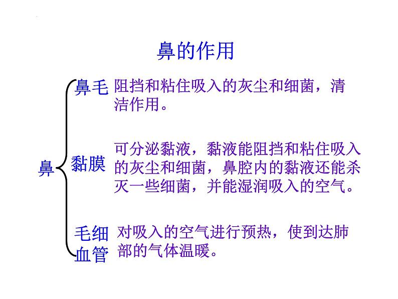 4.3.1呼吸道对空气的处理课件2021--2022学年人教版生物七年级下册06