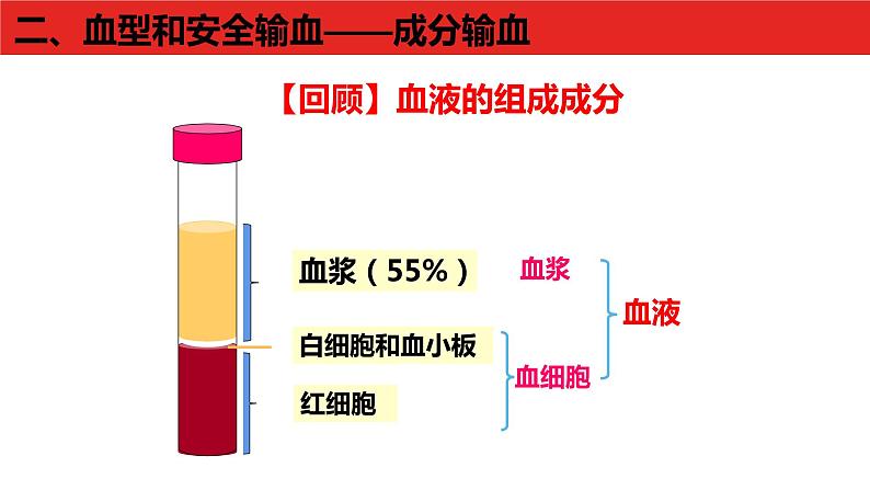 4.4.4输血与血型课件2021- 2022学年人教版生物七年级下册08