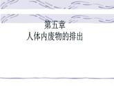 4.5人体内废物的排出课件2021-- 2022学年人教版生物七年级下册