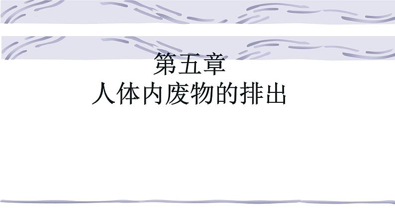 4.5人体内废物的排出课件2021-- 2022学年人教版生物七年级下册01