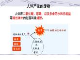 4.5人体内废物的排出课件2021-- 2022学年人教版生物七年级下册