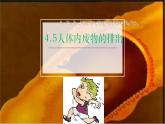 4.5人体内废物的排出课件2021---2022学年人教版生物七年级下册
