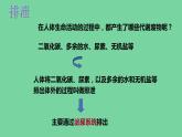 4.5人体内废物的排出课件2021---2022学年人教版生物七年级下册