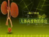 4.5人体内废物的排出课件2021-2022 学年人教版生物七年级下册