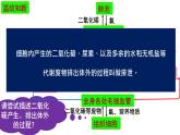 4.5人体内废物的排出课件2021-2022 学年人教版生物七年级下册