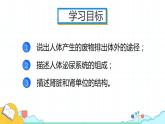4.5人体内废物的排出课件2021-2022学年人教版生物七年级下册
