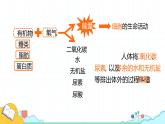 4.5人体内废物的排出课件2021-2022学年人教版生物七年级下册