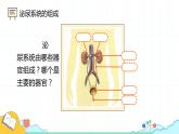 4.5人体内废物的排出课件2021-2022学年人教版生物七年级下册