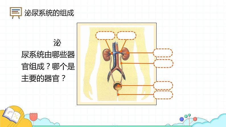 4.5人体内废物的排出课件2021-2022学年人教版生物七年级下册第5页