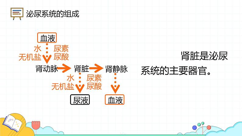 4.5人体内废物的排出课件2021-2022学年人教版生物七年级下册第7页