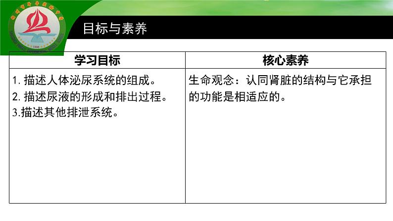 4.5人体内废物的排出课件2021--2022学年人教版生物七年级下册第4页