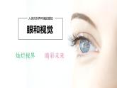 4.6.1人体对外界环境的感知--眼和视觉课件2021-2022学年人教版生物七年级下册