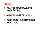 4.6.2神经系统的组成课件2021--2022学年人教版七年级下册生物