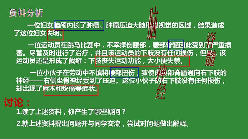 4.6.2神经系统的组成课件2021--2022学年人教版生物七年级下册02