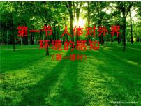 初中生物人教版 (新课标)七年级下册第一节 人体对外界环境的感知教课内容课件ppt