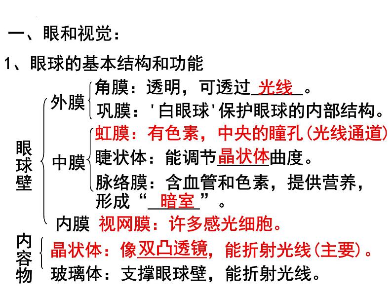 4.6.1人体对外界环境的感知课件2021--2022学年人教版七年级生物下册06