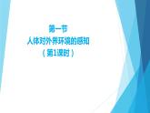 4.6.1人体对外界环境的感知第1课时课件2021--2022学年人教版生物七年级下册