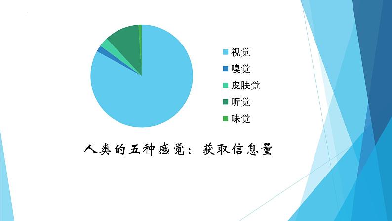 4.6.1人体对外界环境的感知第1课时课件2021--2022学年人教版生物七年级下册06