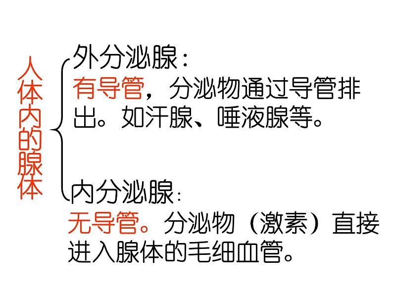 4.6.4激素调节课件2021-2022学年人教版七年级生物下册第2页