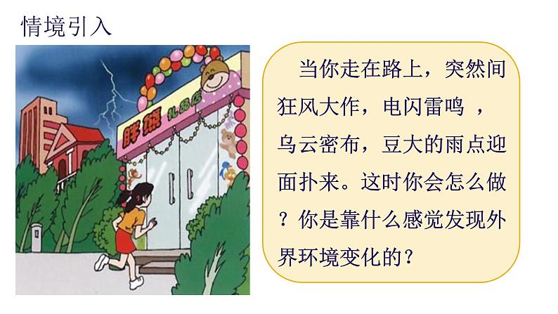 4.6.1人体对外界环境的感知—眼和视觉课件2021-2022学年人教版生物七年级下册第3页