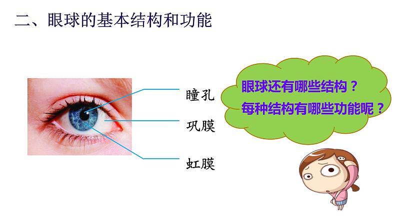 4.6.1人体对外界环境的感知—眼和视觉课件2021-2022学年人教版生物七年级下册第7页